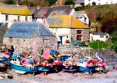 Cadgwith Harbour