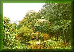 Cotehele Gardens