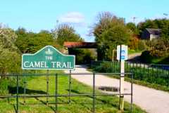 Camel
                                Trail