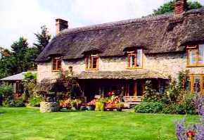 Pear Tree Thatched
                                        Cottage