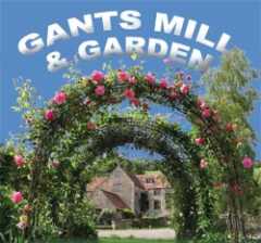 Gants Mill