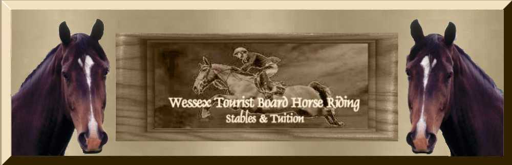 Wessex Horseriding