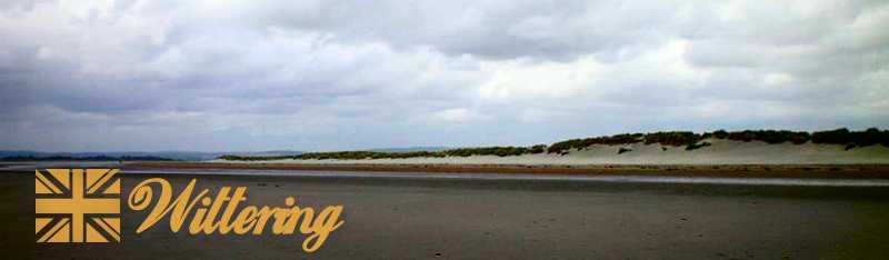 Sand dunes at East
                                    Head.